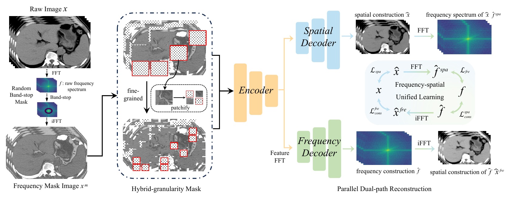 LiFUSE frequency-spatial unified self-supervised pretraining framework for non-contrast CT