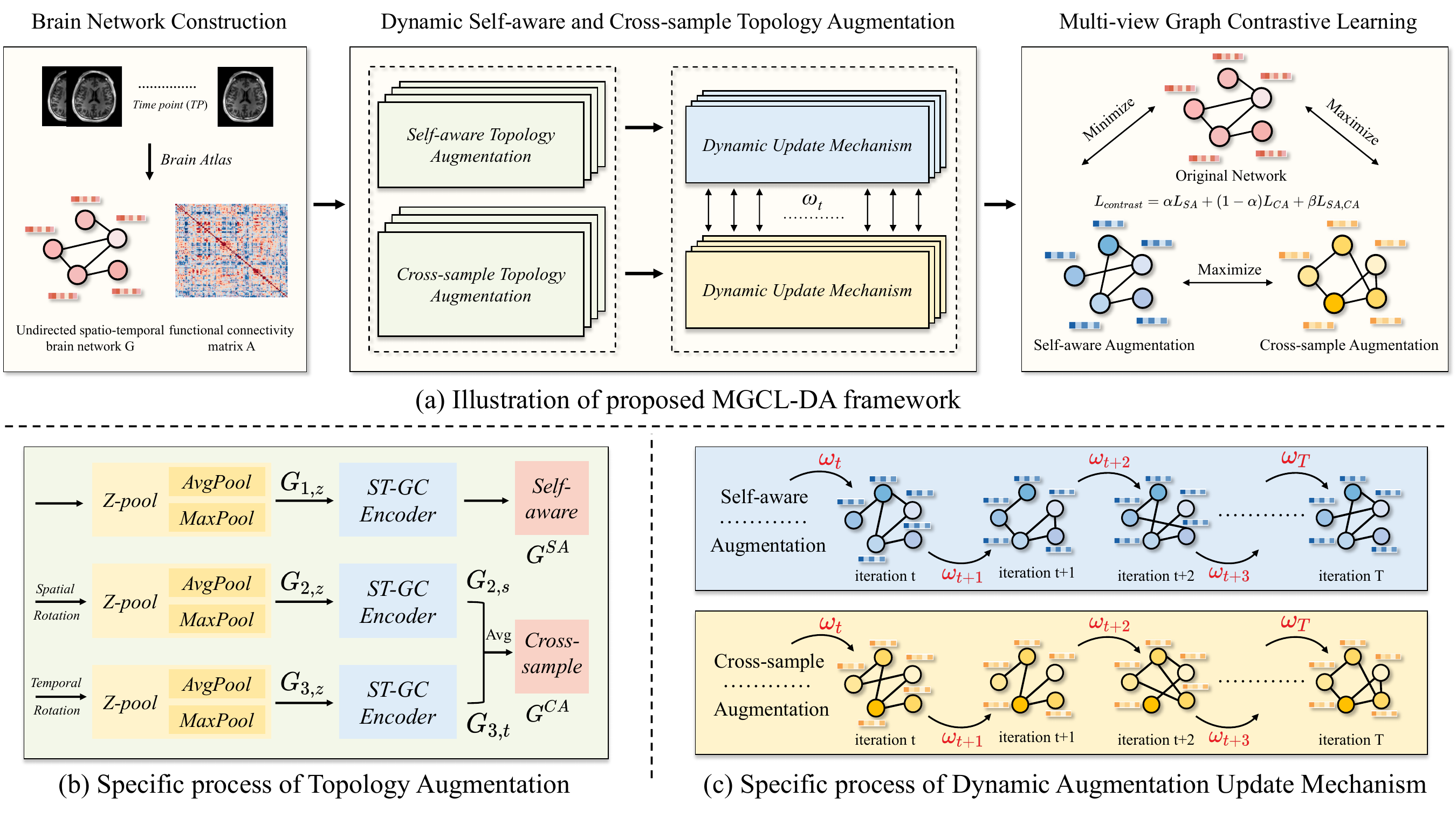 Framework of multi-view graph contrastive learning with dynamic topology augmentation